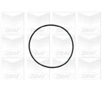 Pompa acqua meccanico PA572 GRAF per OPEL DAEWOO CHEVROLET LADA