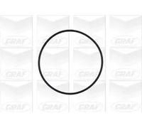 Pompa acqua meccanico PA572A GRAF per OPEL DAEWOO CHEVROLET