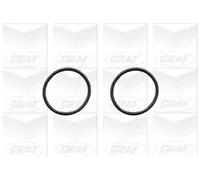 Graf 'Audi: 100 1.6 Pa579