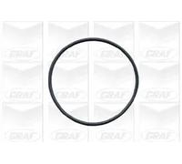 Pompa acqua meccanico PA591 GRAF per AUDI COUPE B3 100 C4 Tre volumi A6 C4