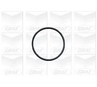 PA603 POMPA ACQUA GRAF SKODA FELICIA I (6U1,6U5) SW 1.6 glx 55 kw NUOVA