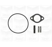 GRAF Pompa dell’acqua, raffreddamento motore per CITROËN FIAT PEUGEOT PA607
