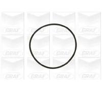 Pompa acqua meccanico PA609 GRAF per AUDI VW SKODA SEAT