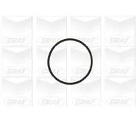 Pompa acqua meccanico PA617 GRAF per VW FORD MERCEDES-BENZ SEAT