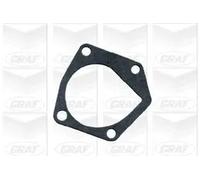 Pompa acqua meccanico PA619 GRAF per SKODA FELICIA I FELICIA I Pick-up
