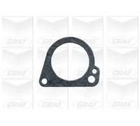 Pompa acqua meccanico PA639 GRAF per FORD MAZDA