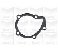 Pompa acqua meccanico PA641 GRAF per CITROËN PEUGEOT LANCIA FIAT