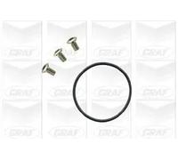 GRAF Pompa Dell'Acqua Meccanica Per VW Golf IV 1J1 1J5 Bora 1J2 1J6 3B5 PA658
