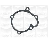 GRAF POMPE PA664 Pompa Acqua Opel,