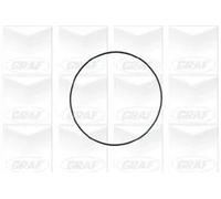 GRAF POMPE PA671 Pompa Acqua Alfa Romeo,