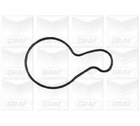 Pompa acqua meccanico PA688 GRAF per MITSUBISHI CHRYSLER DODGE PLYMOUTH