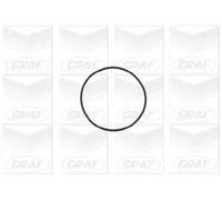 Pompa acqua meccanico PA727 GRAF per OPEL SAAB