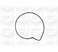 Pompa acqua meccanico PA736 GRAF per MERCEDES-BENZ CLASSE A VANEO