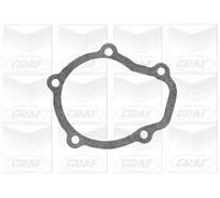 GRAF POMPE PA738 Pompa Acqua Daewoo,