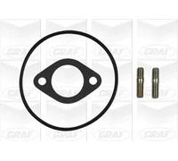 Pompa Dell’acqua Raffreddamento Motore Graf PA750 per Opel Vauxhall