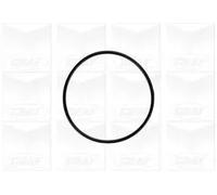 GRAF POMPE PA758 Pompa Acqua Audi *Ex 593A*,