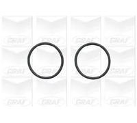 Graf PA779 Pompa Acqua Raffreddamento Del Motore per Audi A4 8D2 VW Passat 3B2