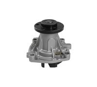 Pompa acqua GRAF PA802