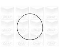 Pompa acqua meccanico PA802 GRAF per ROVER CHRYSLER JEEP OPEL ALFA ROMEO FORD