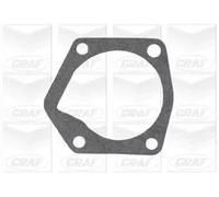 Graf PA805 Pompa Acqua