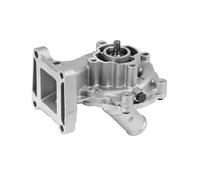 Pompa acqua meccanico PA807 GRAF per JAGUAR FORD