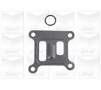 Pompa acqua meccanico PA807 GRAF per JAGUAR FORD