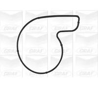 Pompa acqua meccanico PA819 GRAF per SMART CITY-COUPE ROADSTER CABRIO CROSSBLADE