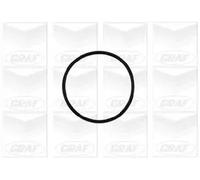 Pompa acqua - GRAF PA837