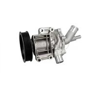Graf Pompa acqua PA860 per MINI, Fiat 500X Renegade SUV chiusa