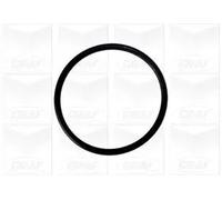 Pompa acqua (MARCA-GRAF)..