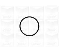 Pompa Acqua Graf Pa879 Audi, Ford, Seat, Skoda