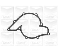 Pompa acqua meccanico PA881 GRAF per AUDI A4 B6 Cabriolet A4 B6 A4 B7 A6 C6