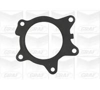 Pompa acqua meccanico PA890 GRAF per TOYOTA MINI