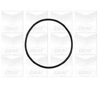 Pompa acqua meccanico PA898 GRAF per VOLVO S80 I V70 II S70 850 Familiare 850