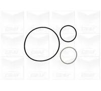 Pompa Dell’acqua Raffreddamento Motore Graf PA900 per Fiat Iveco Peugeot