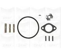 GRAF PA915 Pompa acqua