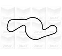 Pompa acqua meccanico PA917 GRAF per FORD USA MAZDA