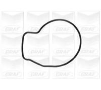 Pompa acqua meccanico PA925 GRAF per HONDA CRX III CIVIC V Hatchback