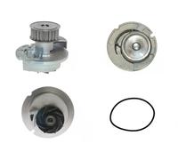 PQ0403 Pompa acqua (MARCA-JAPANPARTS)