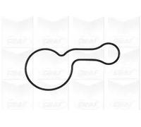 GRAF POMPE PA949 Pompa Acqua Audi-Vw,