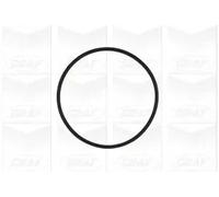 Graf PA960 Pompa Acqua Motore per Renault Espace III Citroën Xantia