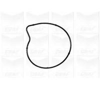 PA978 Pompa dell’acqua, raffreddamento motore Graf