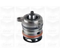 Pompa acqua meccanico PA982 GRAF per VW MULTIVAN T5 TRANSPORTER T5 Autobus
