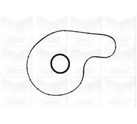 GRAF POMPE PA996 Pompa Acqua Ducato-Transporter-Jumper,