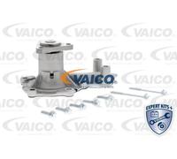 Pompa acqua meccanico V25-50029 VAICO per FORD MAZDA