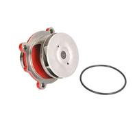 THERMOTEC WP-DZ103 Pompa acqua