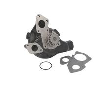 THERMOTEC WP-PK101 Pompa acqua
