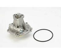 CONTITECH WPS3010 Pompa acqua