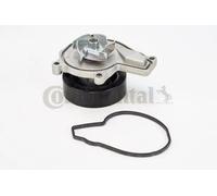 CONTINENTAL CTAM WPS3028 Pompa dell’acqua, raffreddamento motore per MINI
