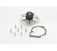 Pompa acqua meccanico WPS3124 CONTINENTAL CTAM per VOLVO POLESTAR